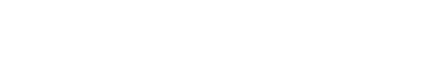 Group 29